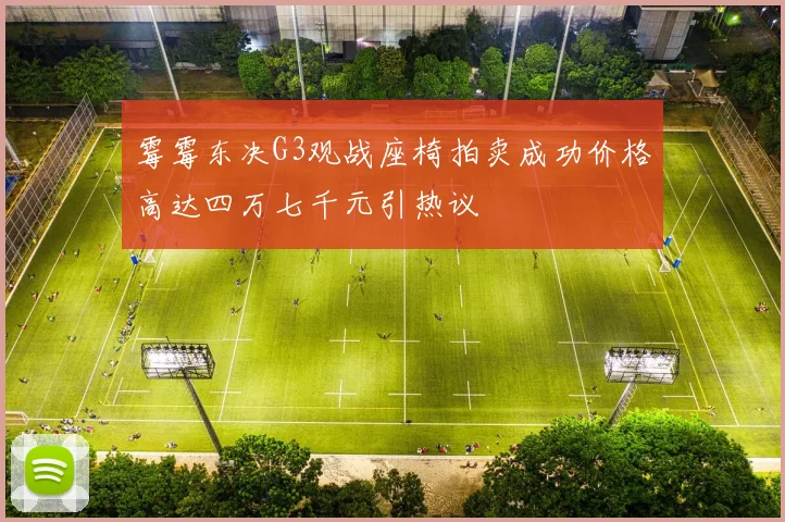 霉霉东决G3观战座椅拍卖成功价格高达四万七千元引热议