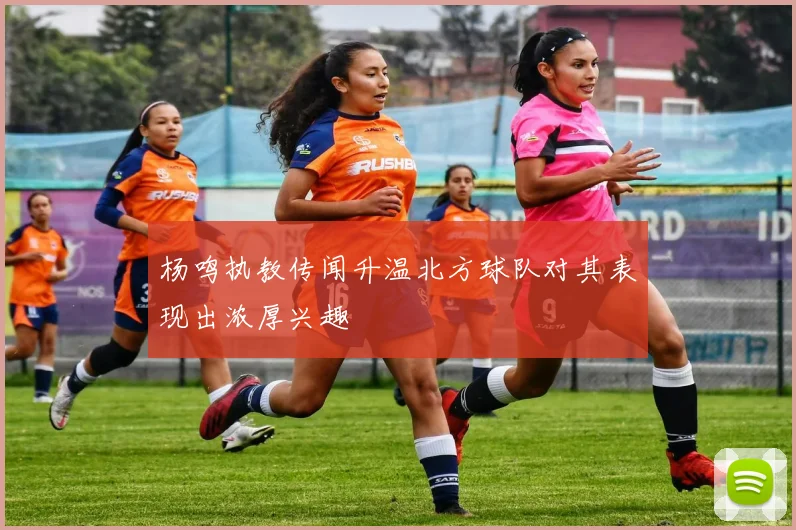 杨鸣执教传闻升温北方球队对其表现出浓厚兴趣